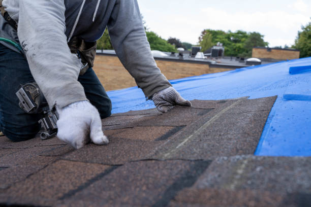 Best Affordable Roofing Company  in Johnston City, IL
