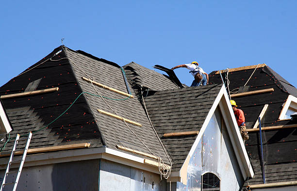 Best Roof Leak Repair  in Johnston City, IL