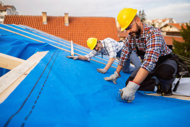 Best Roof Waterproofing Services  in Johnston City, IL