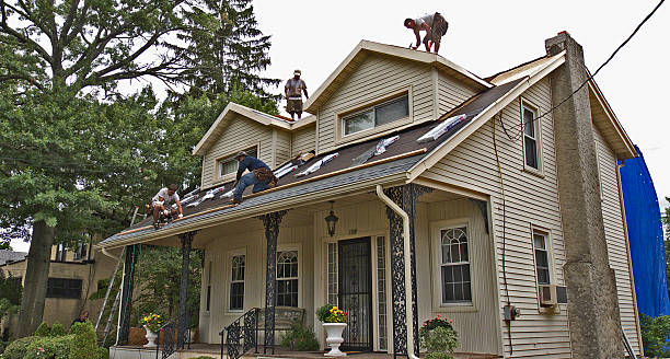 Best Metal Roofing Contractor  in Johnston City, IL