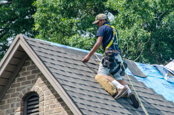 Best Gutter Installation and Roofing  in Johnston City, IL