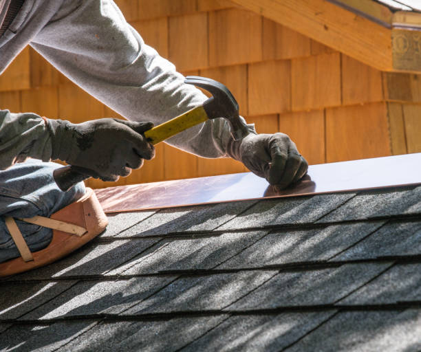Best Roof Maintenance Services  in Johnston City, IL